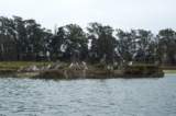 Photo Number 14